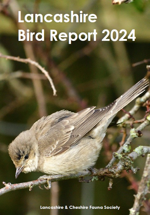 Lancashie Bird Report 2024